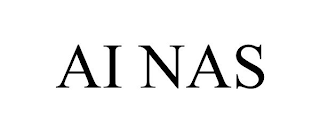 AI NAS