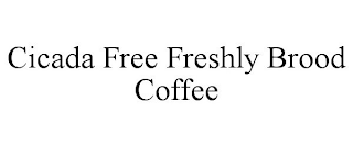 CICADA FREE FRESHLY BROOD COFFEE