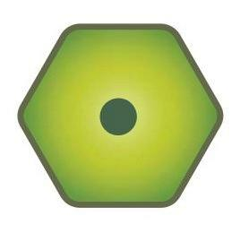 Image Trademark