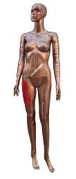 THE NATIONAL TASKFORCE FOR MISSING AND MURDERED BIPOC WOMEN AND GIRLS IT'S LIKE SHE VANISHED SAVE OUR SISTERS TEXAS ARIZONA