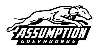 A ASSUMPTION GREYHOUNDS