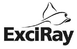 EXCIRAY