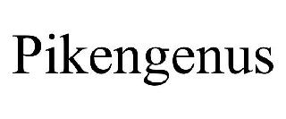 PIKENGENUS