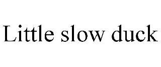 LITTLE SLOW DUCK