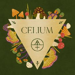 CELIUM