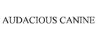 AUDACIOUS CANINE