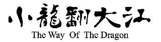 THE WAY OF THE DRAGON