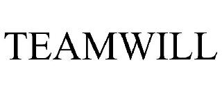 TEAMWILL