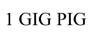 1 GIG PIG