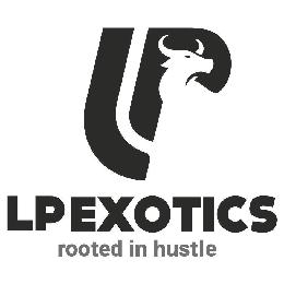 LP LP EXOTICS ROOTED IN HUSTLE