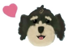 Image Trademark