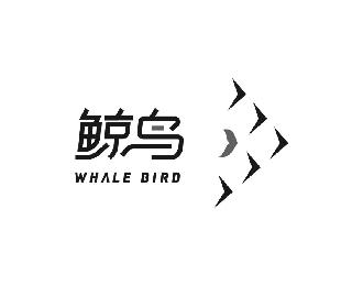 WHALE BIRD