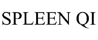 SPLEEN QI