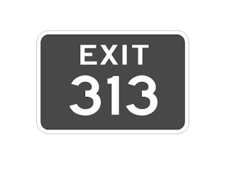 EXIT 313