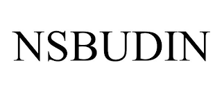 NSBUDIN