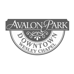 AVALON PARK DOWNTOWN WESLEY CHAPEL