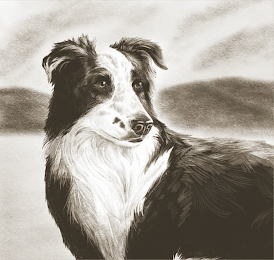 Image Trademark