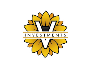 V INVESTMENTS