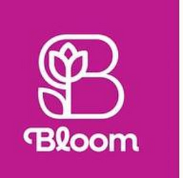 B BLOOM
