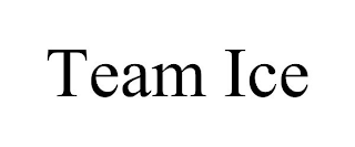 TEAM ICE