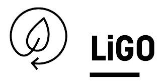 LIGO