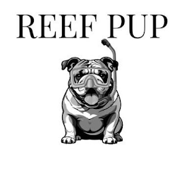 REEF PUP