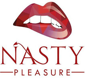 NASTY PLEASURE