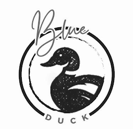 BLUE DUCK