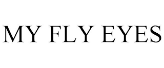 MY FLY EYES