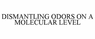 DISMANTLING ODORS ON A MOLECULAR LEVEL