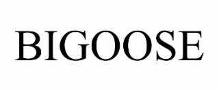 Image for trademark with serial number 98706213