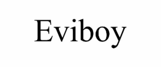 EVIBOY