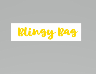BLINGY BAG
