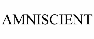 AMNISCIENT