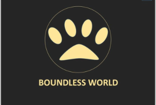 BOUNDLESS WORLD