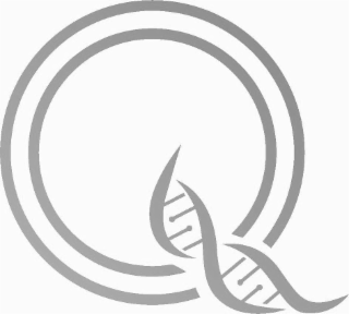 Q