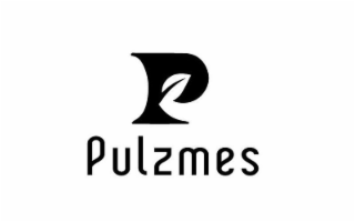 P PULZMES