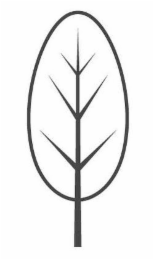 Image Trademark