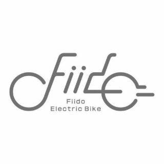 FIIDO ELECTRIC BIKE