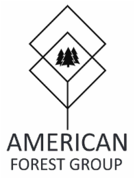 AMERICAN FOREST GROUP