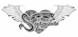DE TIERRA CALIENTE SENTIMIENTO SHOW