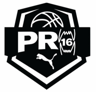 PRO16