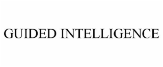 GUIDED INTELLIGENCE