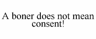 A BONER DOES NOT MEAN CONSENT!