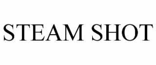 STEAM SHOT