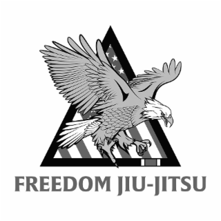 FREEDOM JIU-JITSU