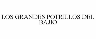 LOS GRANDES POTRILLOS DEL BAJIO