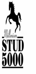 MILLENIUM STUD 5000