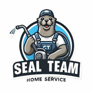 CT SEAL TEAM HOME SERVICE
