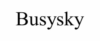 BUSYSKY